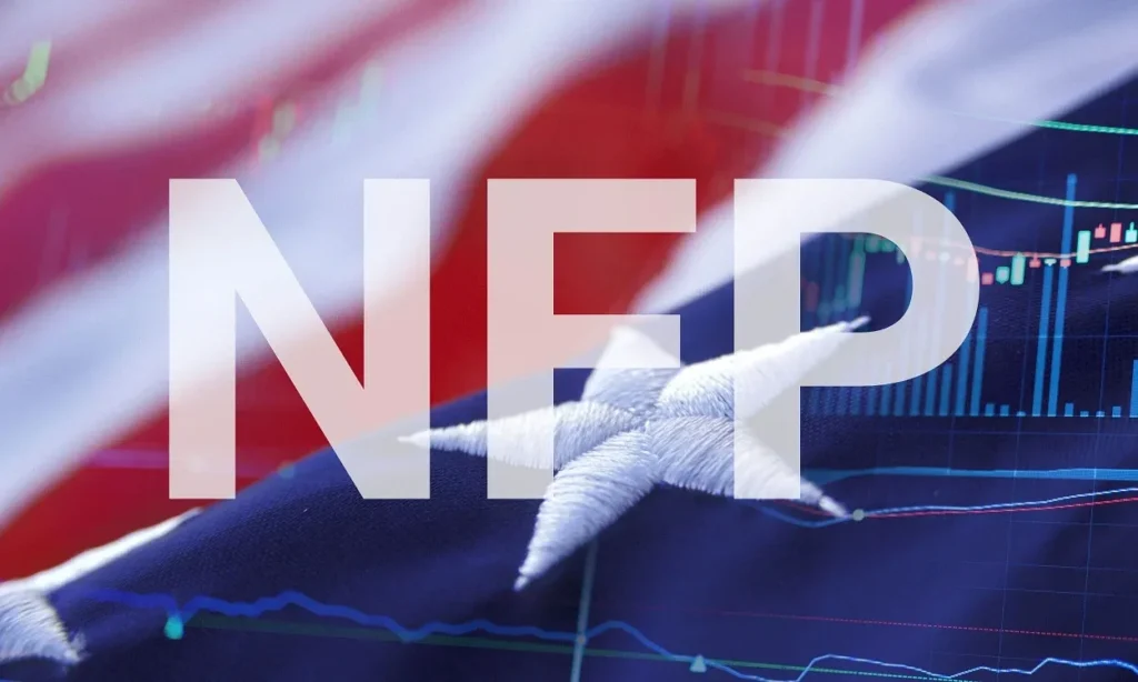 Blogg bild NFP